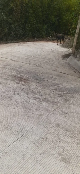 Avance de obra del 02/10/2026 — foto 2